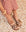 Sandalias Eris Choco - cuchy.es